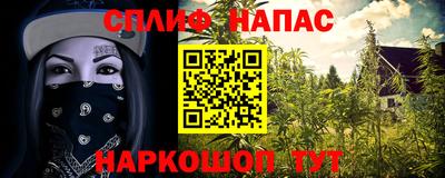 гидропоника Славянск-на-Кубани