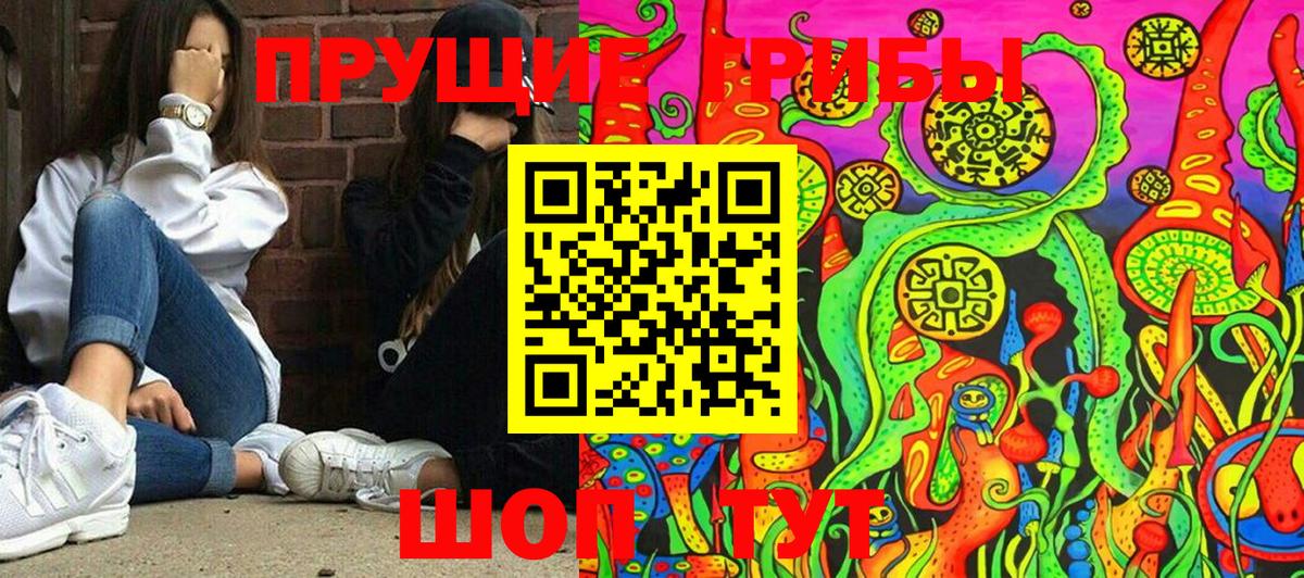 Орехово-Зуево  Псилоцибиновые грибы прущие грибы  Вход с VPN 